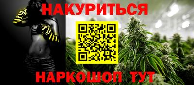прущие грибы Новозыбков