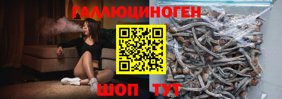 Реж  закладка  Псилоцибиновые грибы Cubensis  Вход с VPN  Галлюциногенные грибы MAGIC MUSHROOMS 